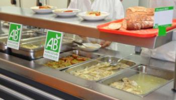 cantine-bio-60e66abb25f80054400816.jpg