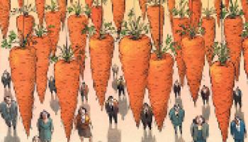 carottes-60e66acea551a053776037.jpg