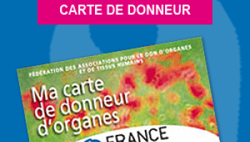 don-organe-2-60e66aba3b1fa162710508.png