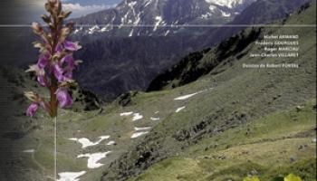 floreisere-60e66ab1072ae277586696.jpg