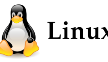 logo-linux-60e66ab104562304336745.png