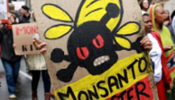 monsanto-une-60e66abdb42d7067841513.jpg
