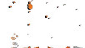 nano-600px-60e66ac48fad3495346961.jpeg