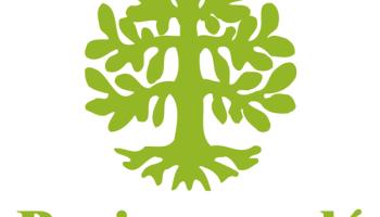 papierrecycle-60e66aae71232225489993.jpg