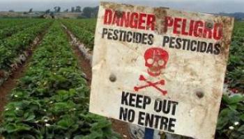 pesticides-une-60e66ad2ceaef681276146.jpg
