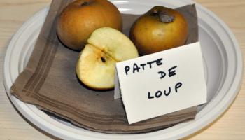 pommes-3-60e66abe20727385599459.jpg