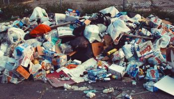 poubelles-60e66ac2a0d3d486661429.jpg