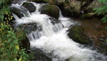 torrent-1-60e66ab8296ae749062030.jpg