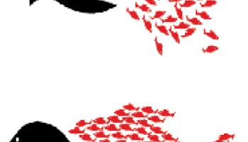 une-poissons-60e66acb3e2d9261564330.jpeg