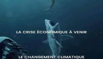requins-deux-612fd264abe5e701814123.jpg