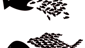 poissons-615b48ad83494889464355.png