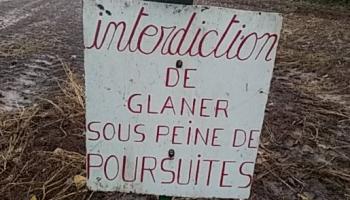 glanage-interdit-615dd61714339501180004.jpg