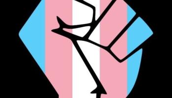 tdor-6197cbab4d4aa500554665.jpg