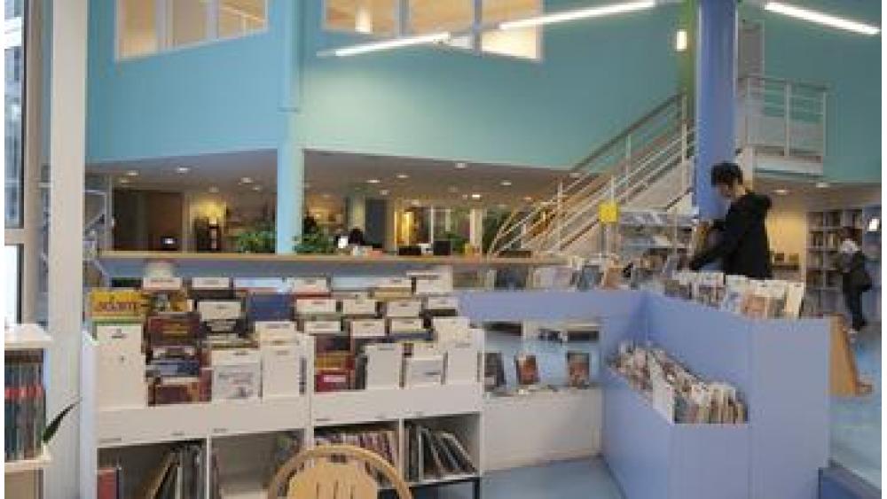 bib-arlequin-60e66aa33c989933740325.jpg