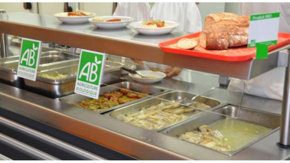 cantine-bio-60e66abb25f80054400816.jpg
