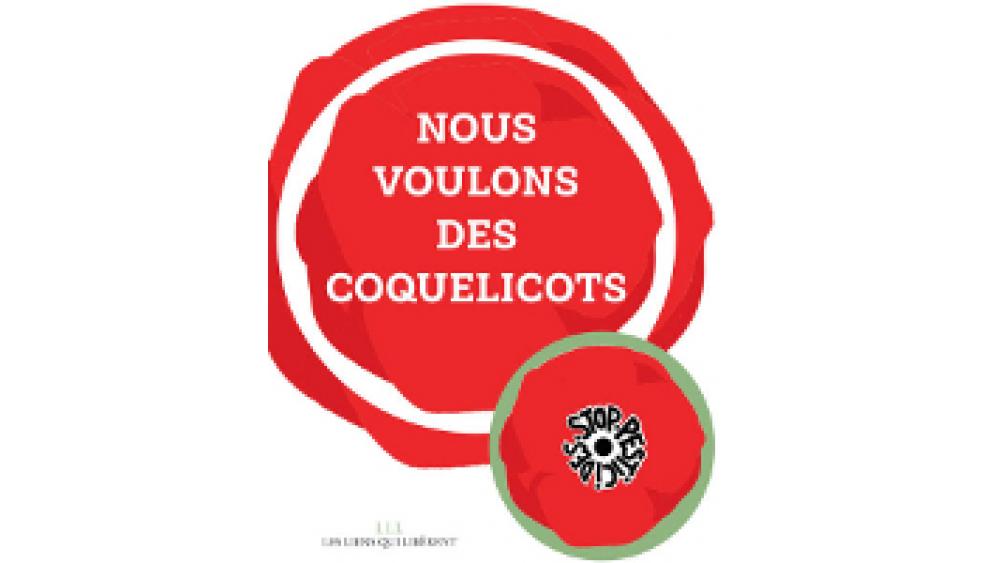 coquelicots-une-60e66acfdf760272857608.jpg