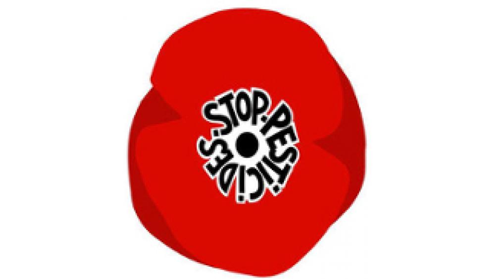 coquelicots-une-deux-60e66ad7adce0246731990.jpg