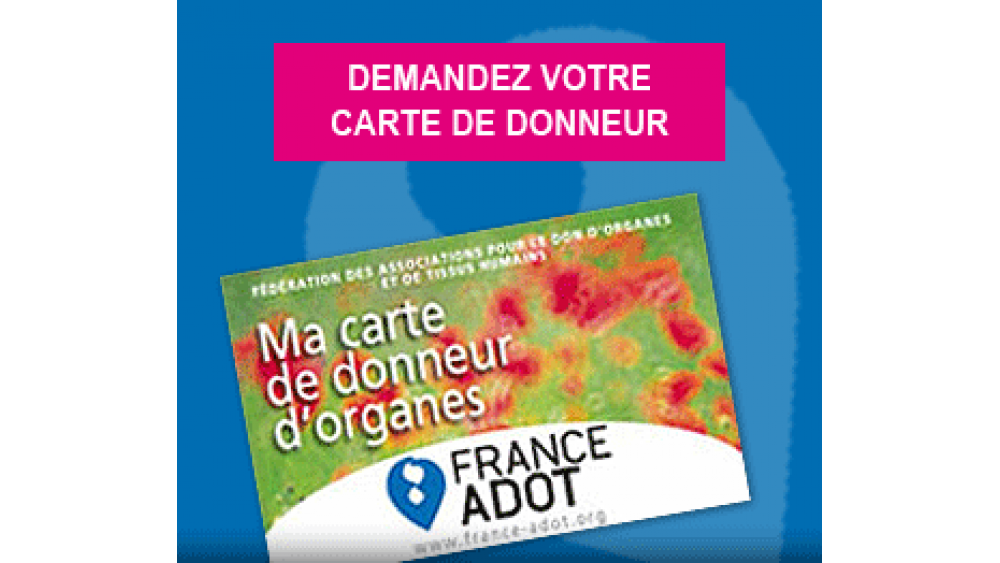 don-organe-2-60e66aba3b1fa162710508.png