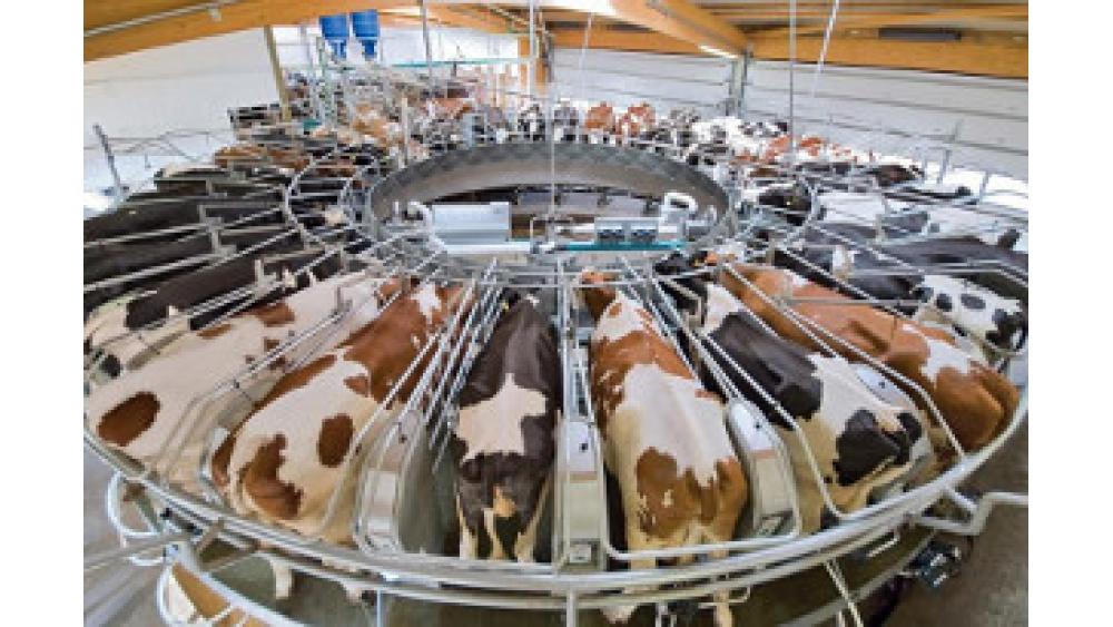 ferme-usine-60e66ac405bb3923477327.jpg