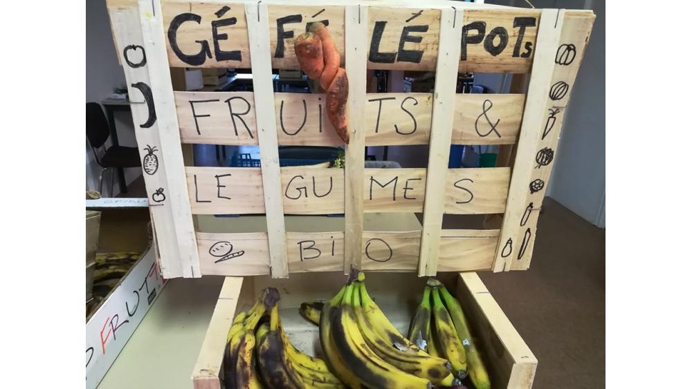 gefelepots-2-60e66ae00a347619274071.jpg