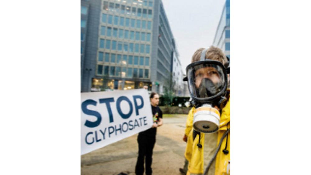 glypho-60e66ac406517104529766.jpg