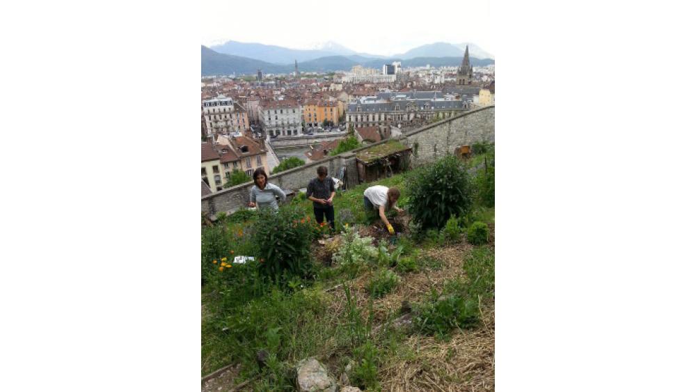 jardin-des-cairns-grenoble-60e66aa168232558339574.jpg