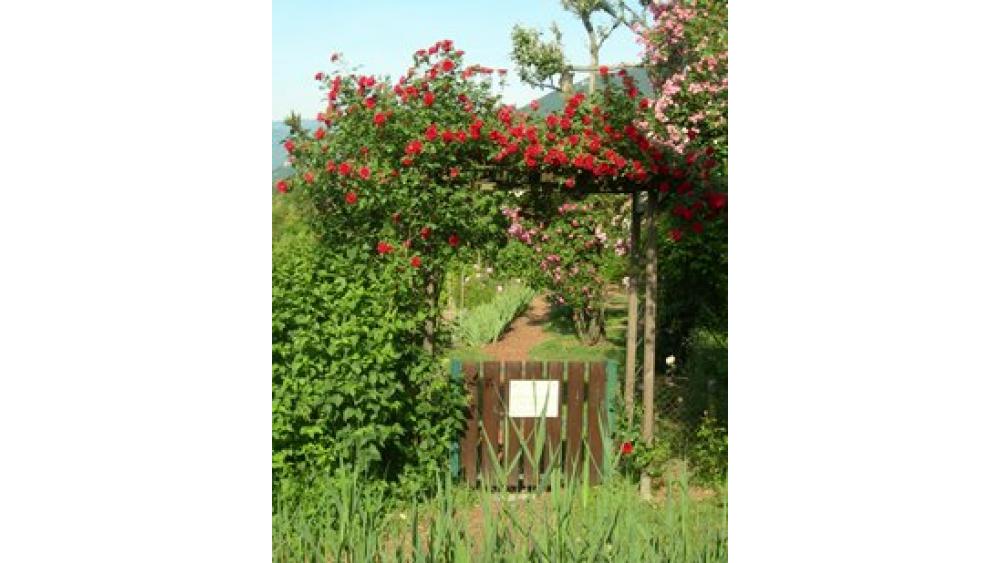 jardin-grandpre1-60e66ab39c8cc941351087.jpg