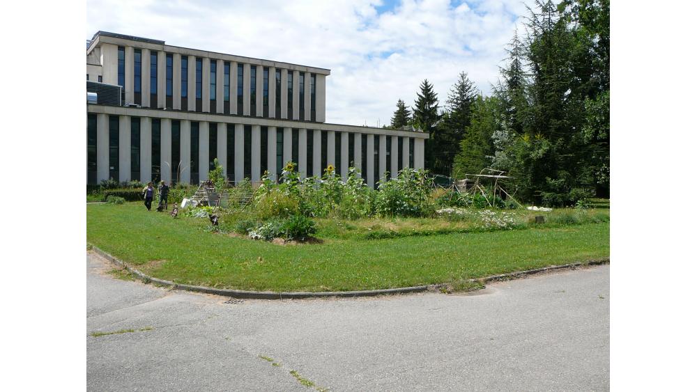 jardins-utopie-1-60e66aa0bee56444509962.jpg
