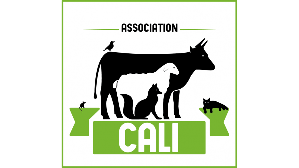 logo-cali-60e66ad004bfd811060852.png