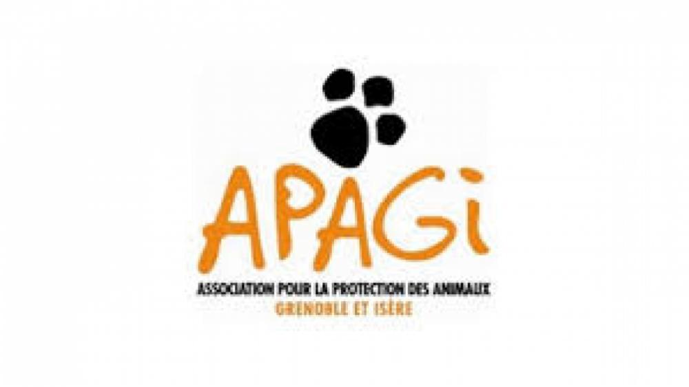 logo2-apagi-60e66aad35ce9623670246.jpeg