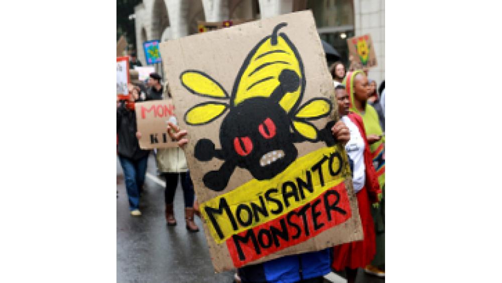 monsanto-une-60e66abdb42d7067841513.jpg