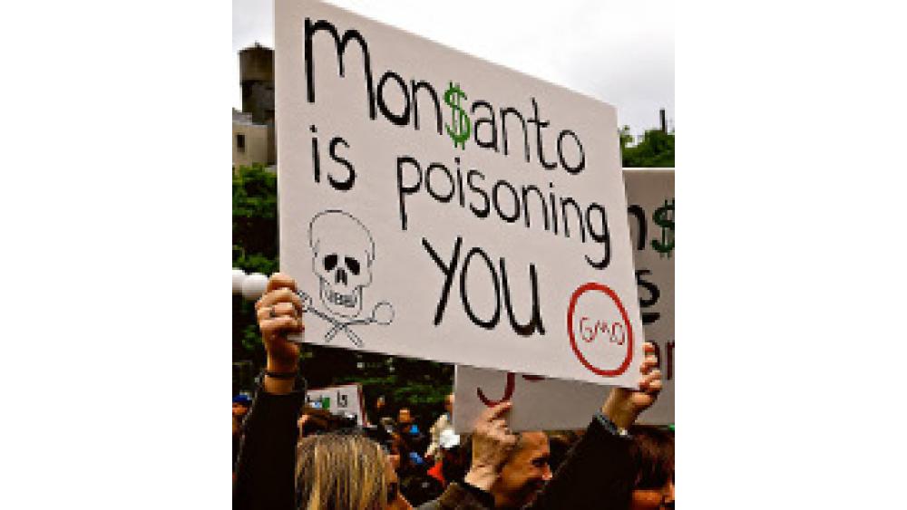 monsanto-une-60e66ac416ace270819558.jpg
