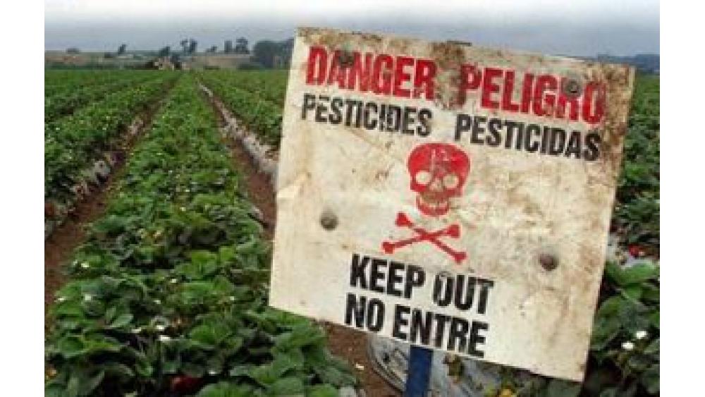 pesticides-une-60e66ad2ceaef681276146.jpg