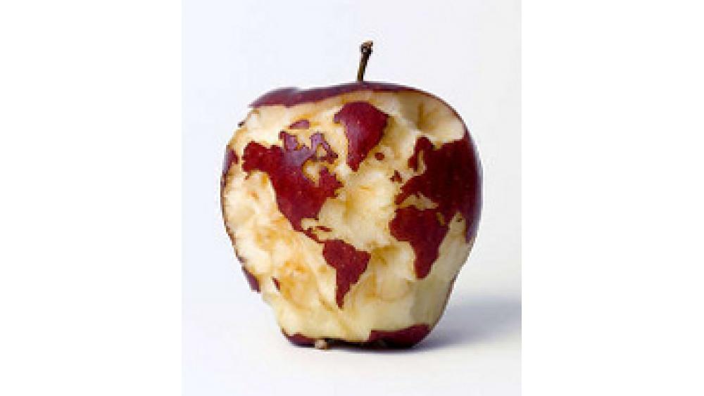 pomme-terre-60e66ab7894c3380933895.jpeg