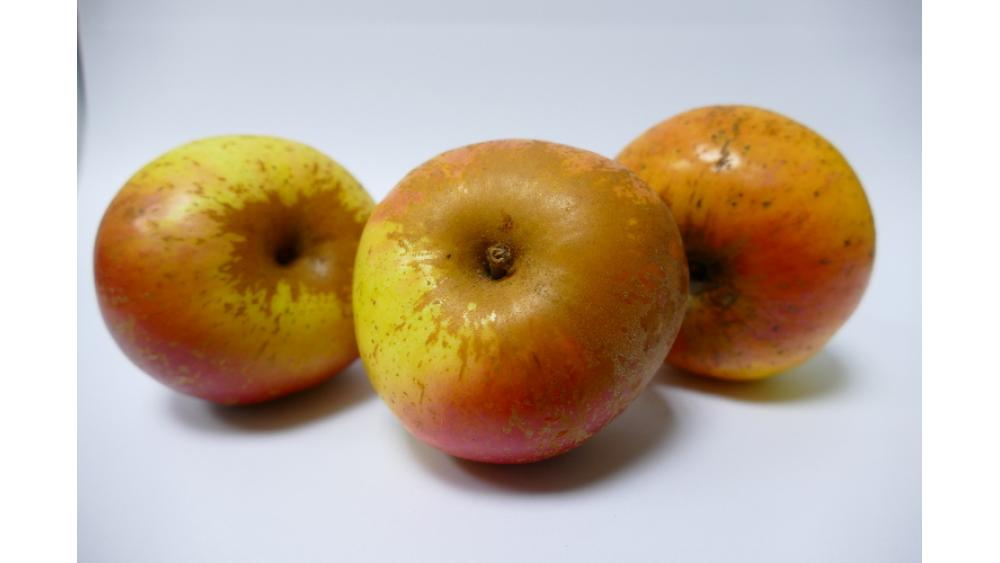pommes-4-60e66abe11c9e754807192.jpg