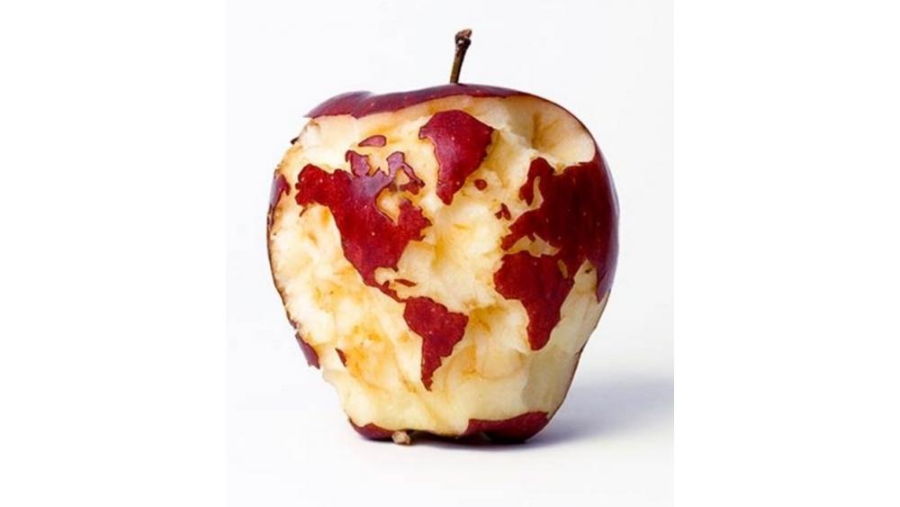 pommes-6-60e66abe165ea270467318.jpg