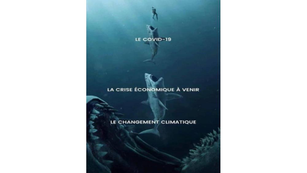 requins-deux-60e66aec0b6a3593253561.jpg