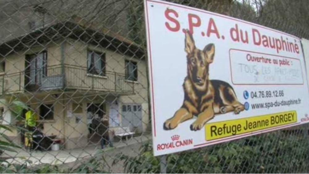 spa-6-60e66aa7be4eb541651335.jpg