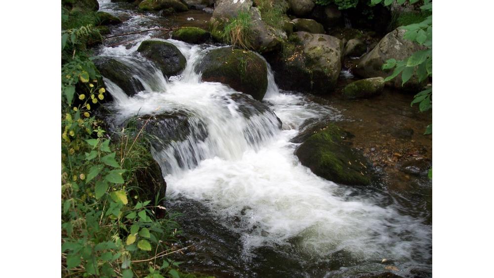 torrent-1-60e66ab8296ae749062030.jpg