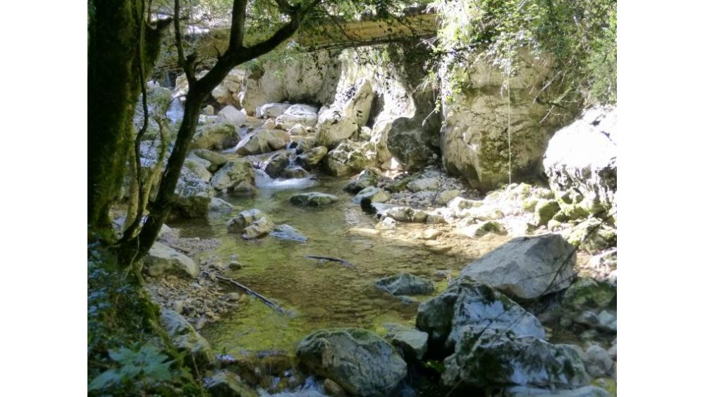torrent-3-60e66ab7db968799733134.jpg