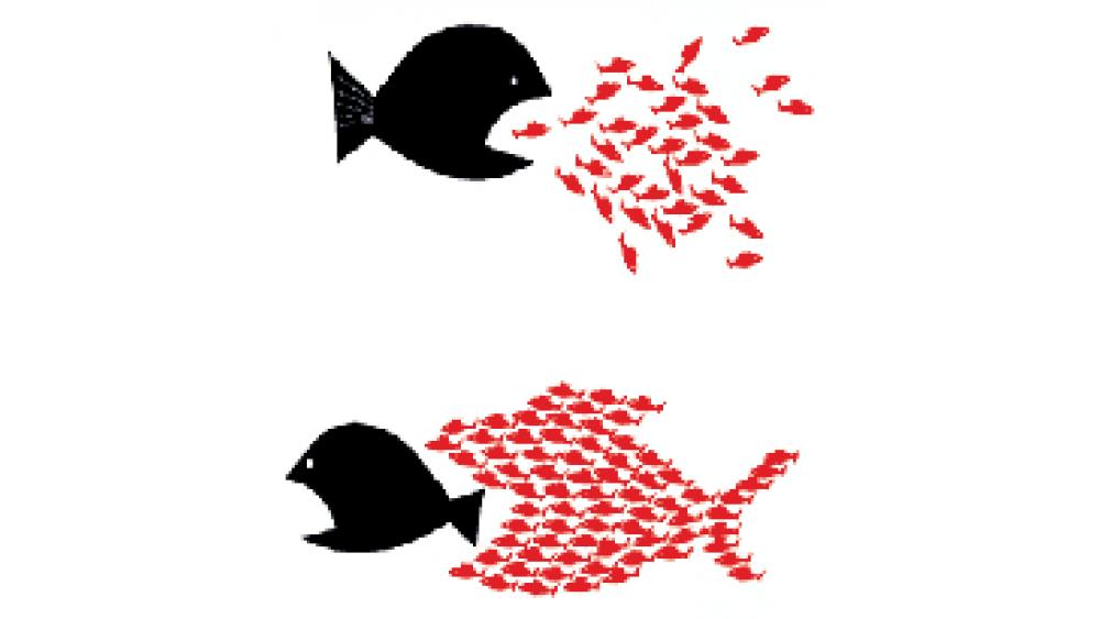 une-poissons-60e66acb3e2d9261564330.jpeg