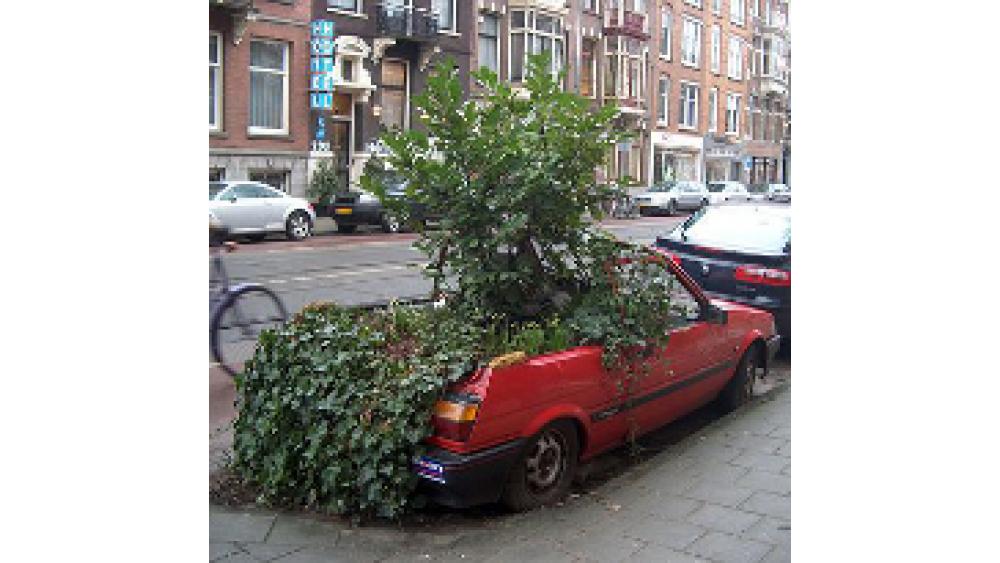 voiture-arbre-60e66ac944372228787733.jpg