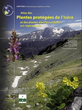 floreisere-gentiana-60e66ab4c2860812046880.jpg