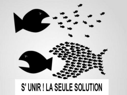 groupement-achat-60e66ab128008313353083.jpg