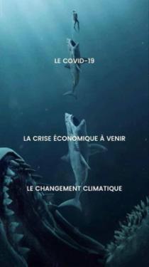 requins-une-60e66aeba7a7d008775070.jpg